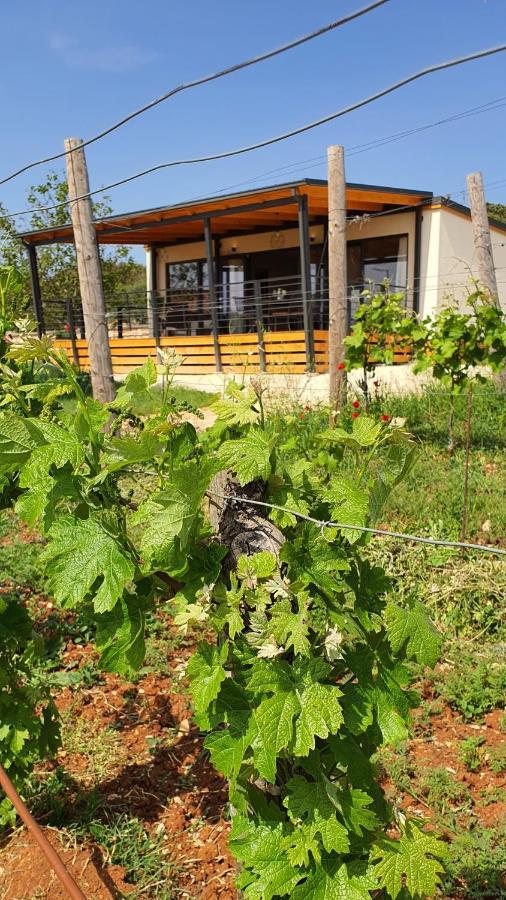 Collis Winery - Family & Friends - Mobilhome Rovinj Luaran gambar